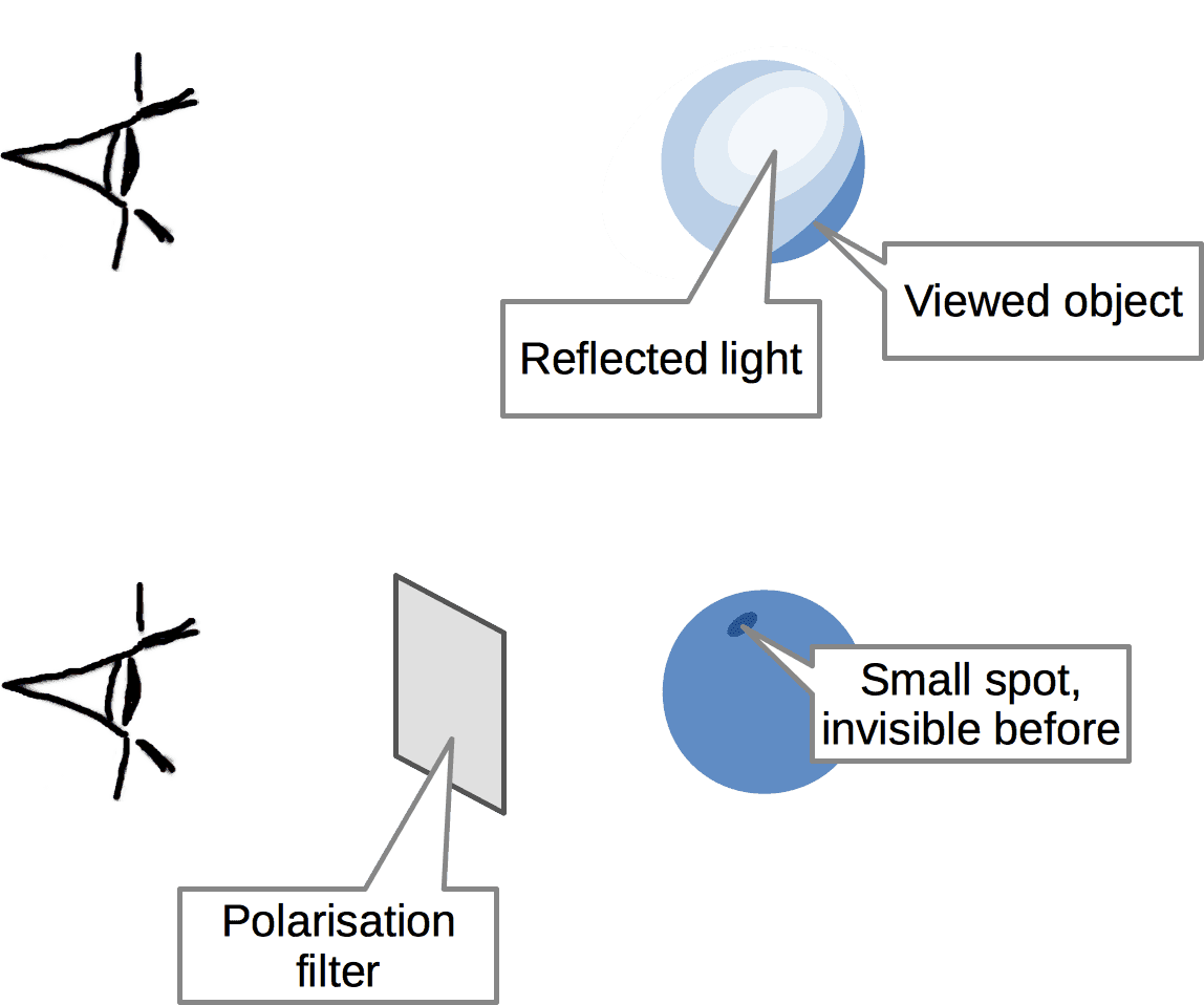 Audio optimization as polarization filter