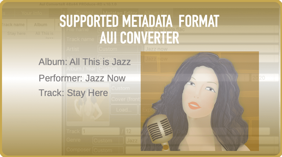 AuI ConverteR Supported Metadata